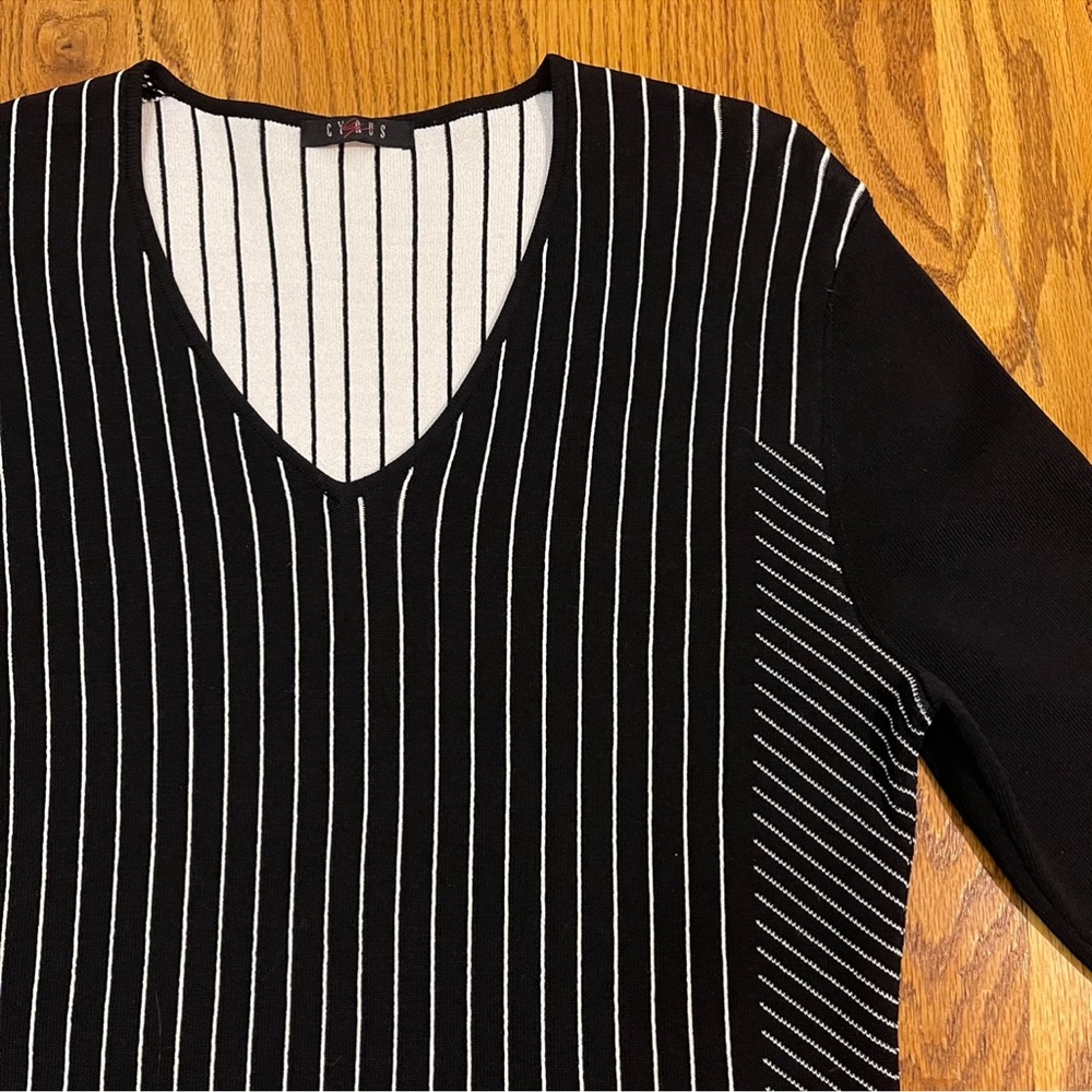 Cyrus Black and White Vertical Stripe Sweater - Picture 3 of 11